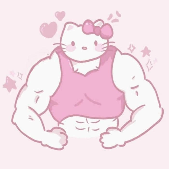 ảnh meme Hello Kitty 9