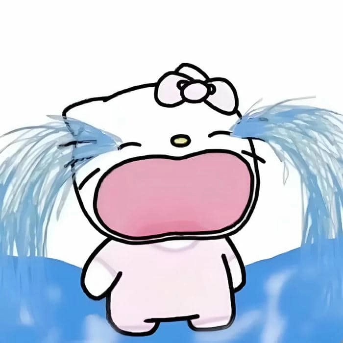 ảnh meme Hello Kitty 13