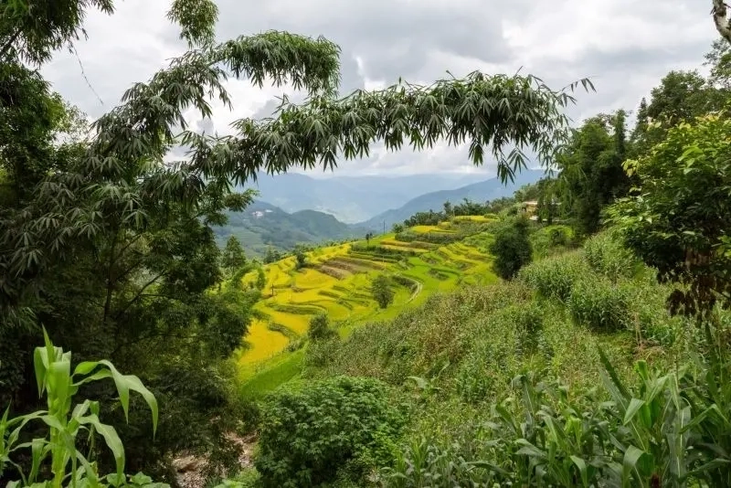 hình nền phong cảnh núi rừng 6