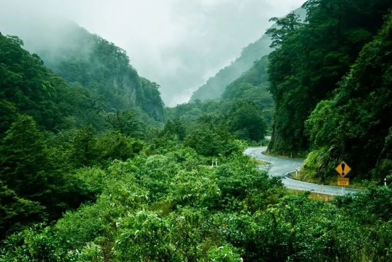 hình nền phong cảnh núi rừng 4