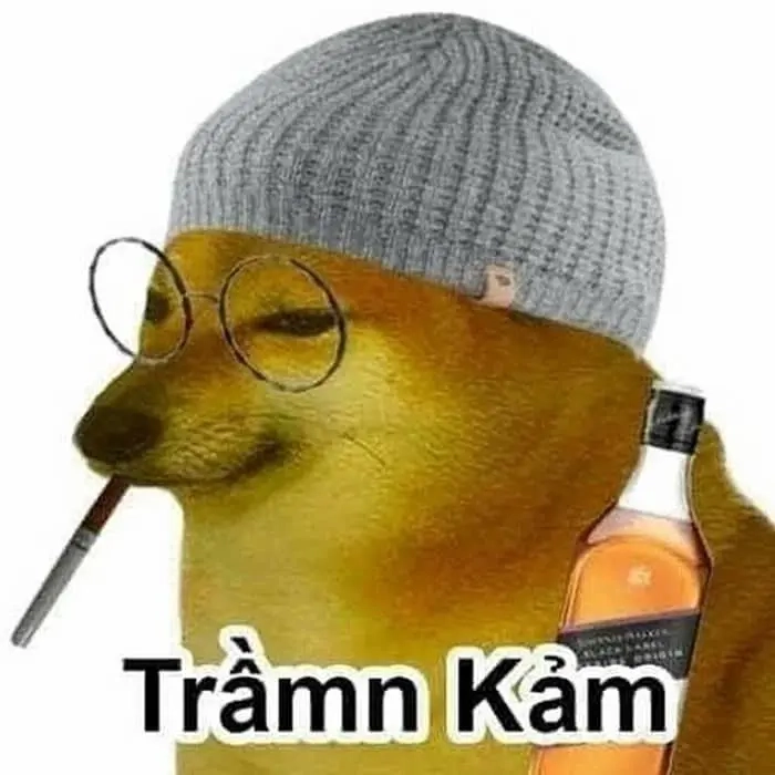 ảnh meme bất lực 13