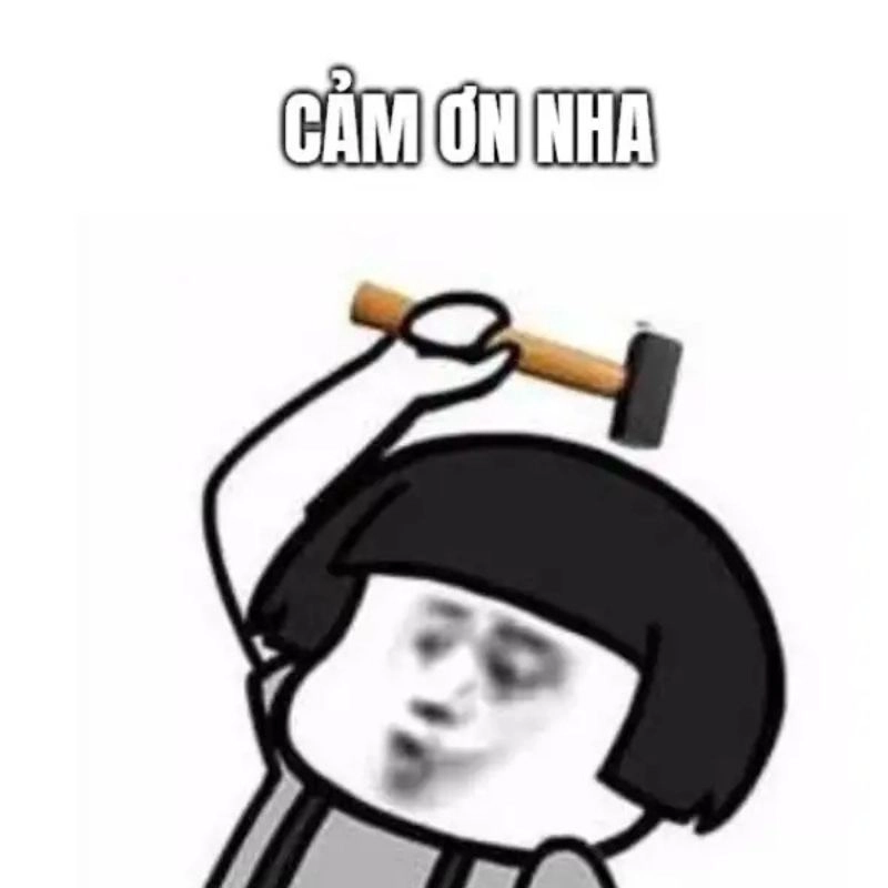 ảnh meme cảm ơn 5