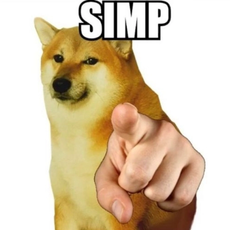 meme chó bựa 7