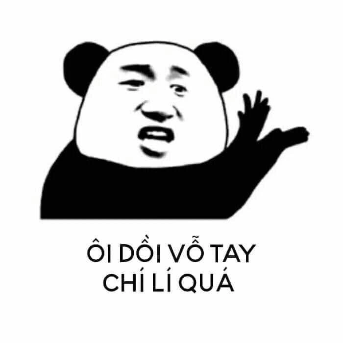 ảnh meme gấu 12