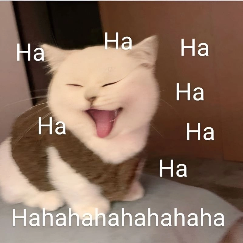 Ảnh meme haha 9