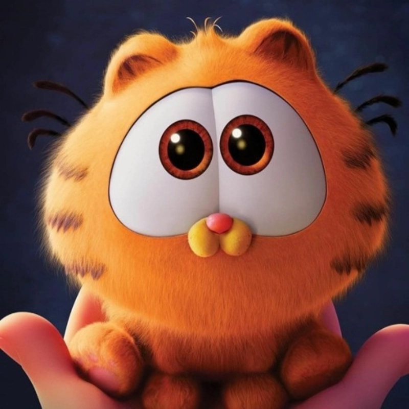 Meme mèo cute 14