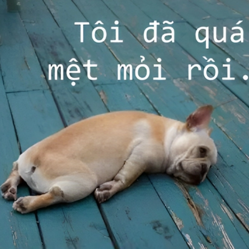 meme mệt mỏi 14