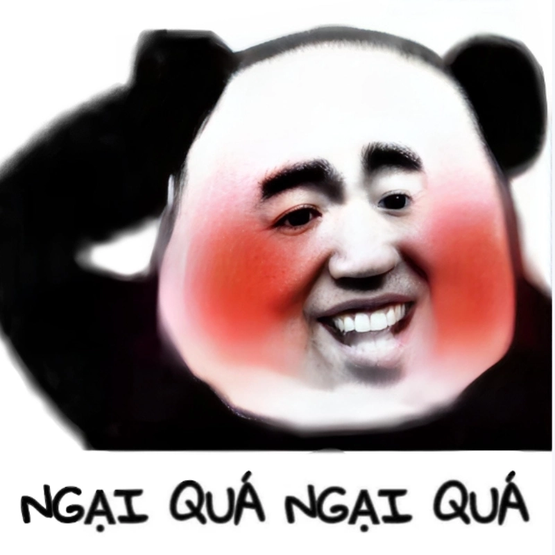 ảnh meme ngại 18