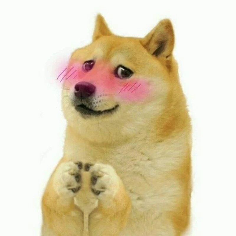 meme ngại 25