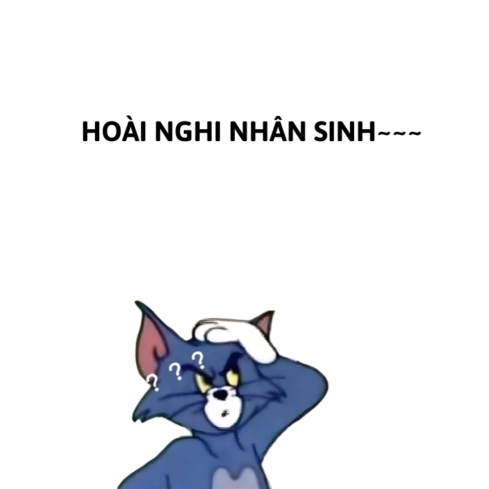 ảnh meme nghi ngờ 6