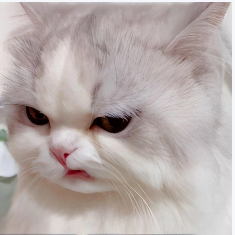 ảnh meme tức giận 22