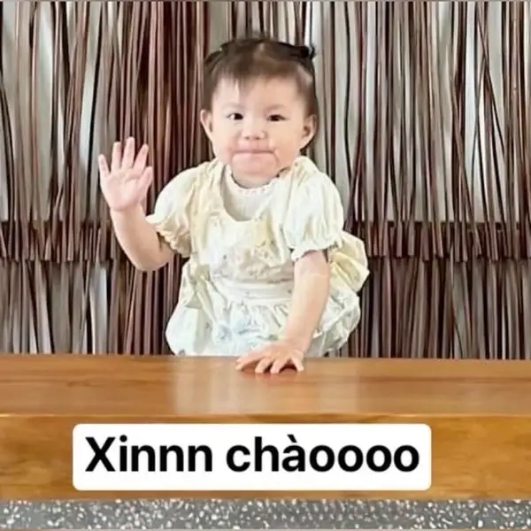 Ảnh meme xin chào 13