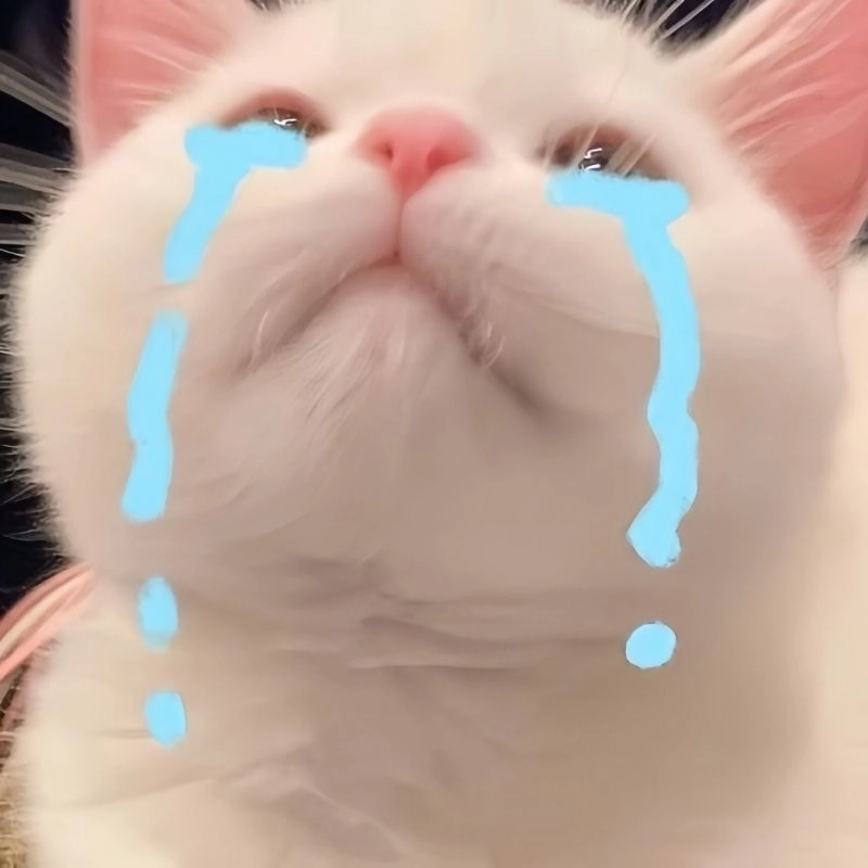 meme xin lỗi 32