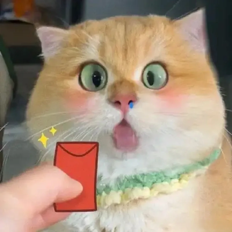 meme mèo Tết 30