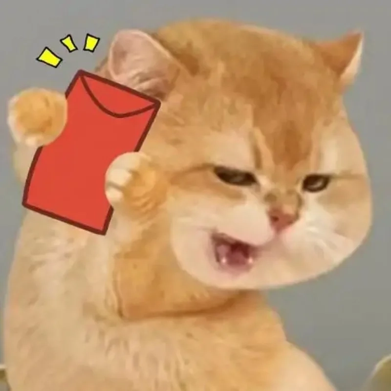 meme mèo Tết 31