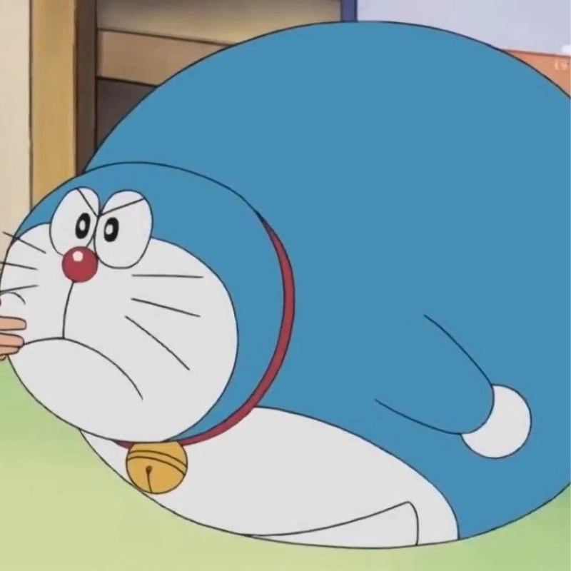 Meme Doremon 21