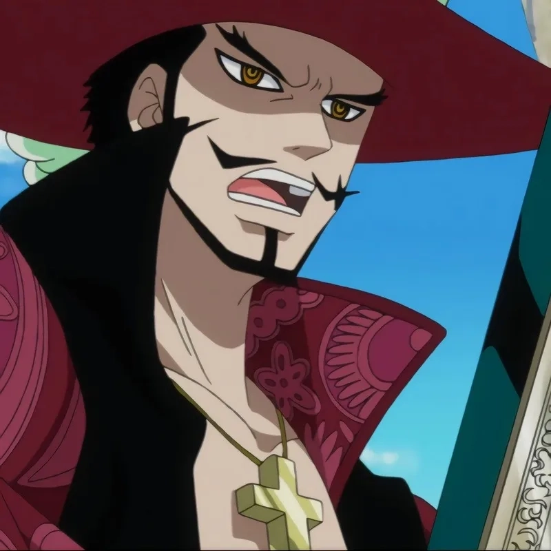 Dracule Mihawk 13