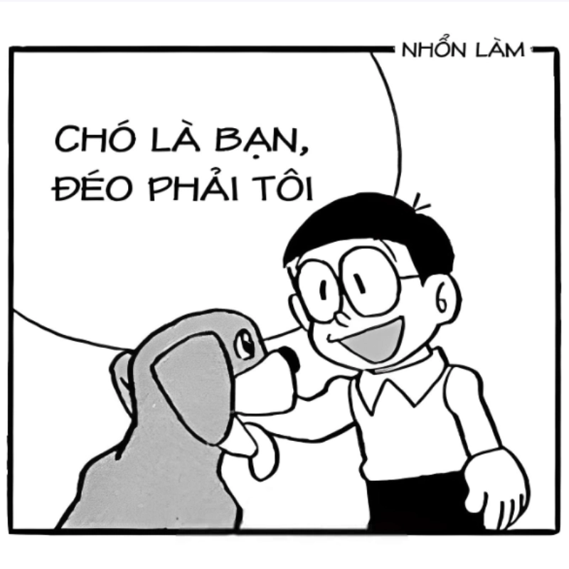 meme chó 14