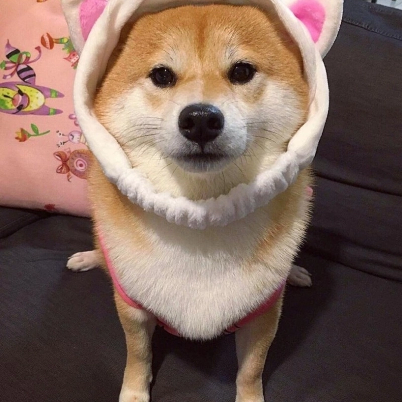 meme hài hước 34