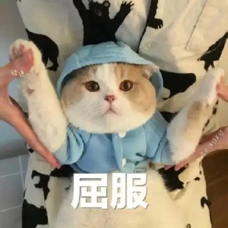 meme ảnh cute 45