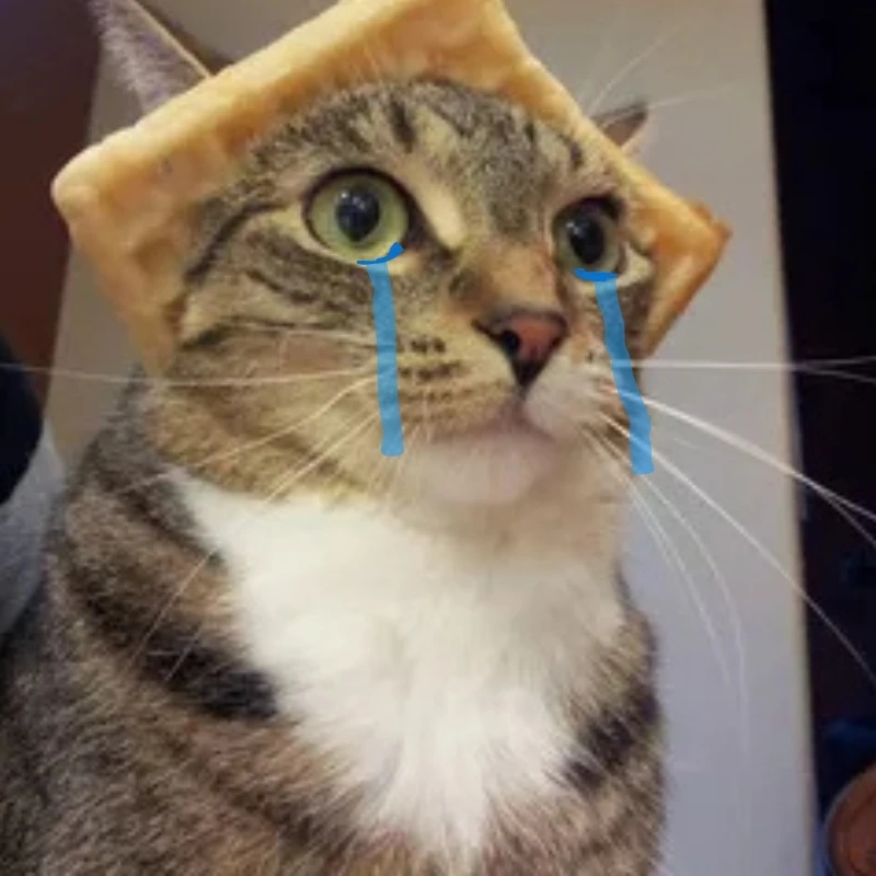meme ảnh cute 30