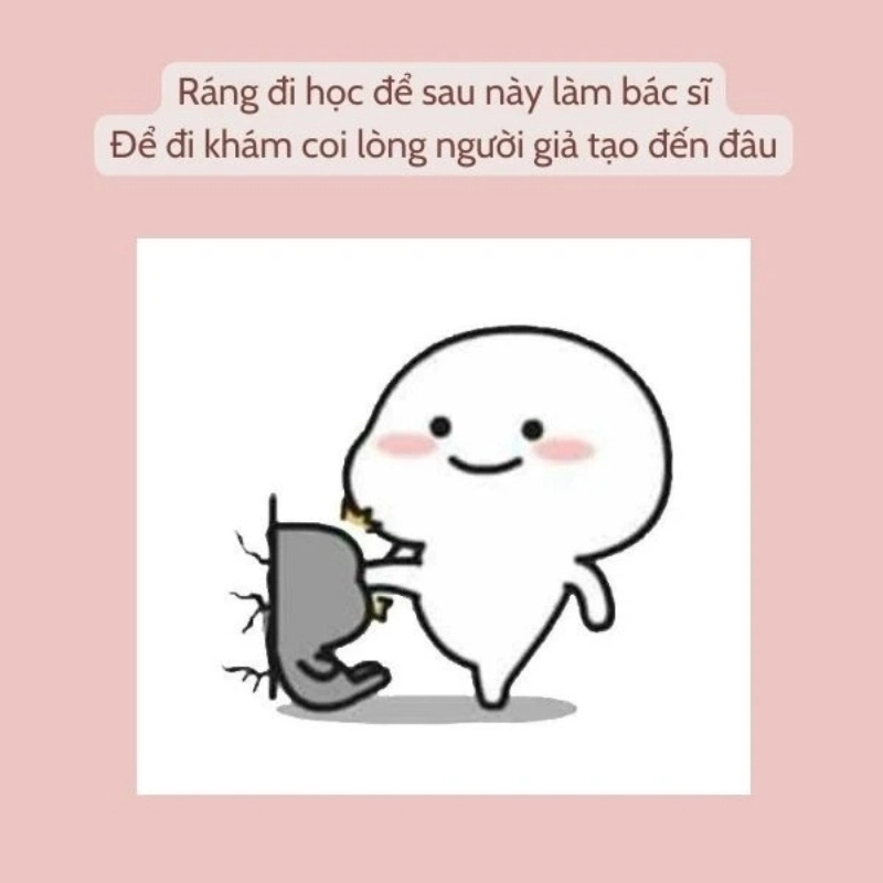 meme chửi 16