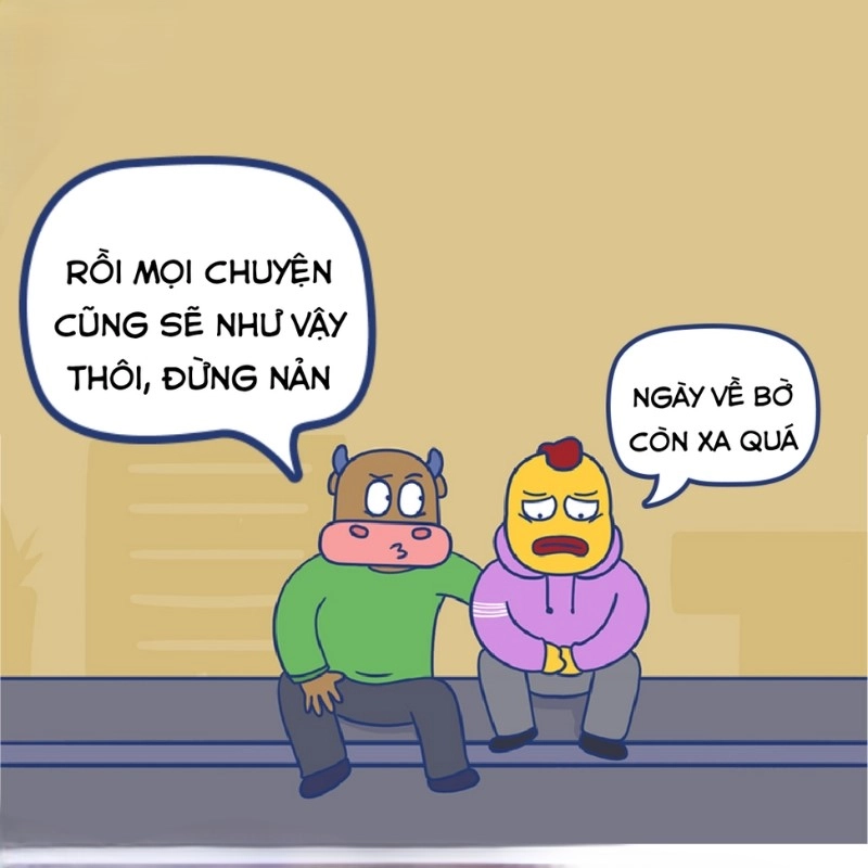 meme cố lên 17