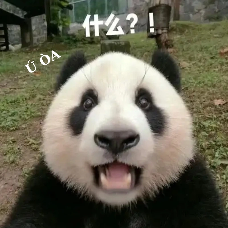 ảnh chế hài 4