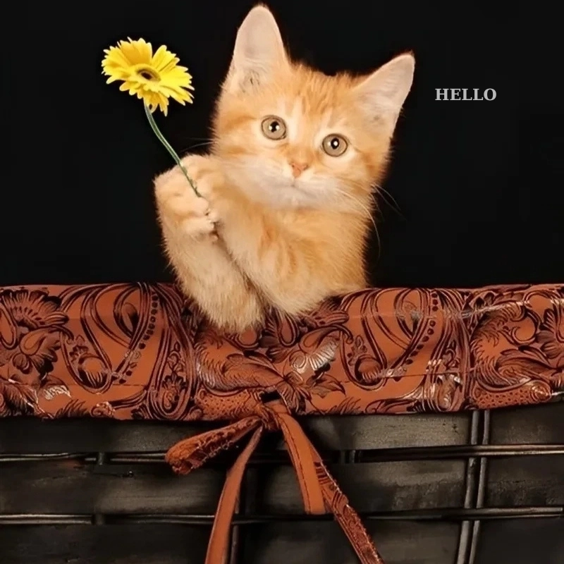 Meme Hello 20