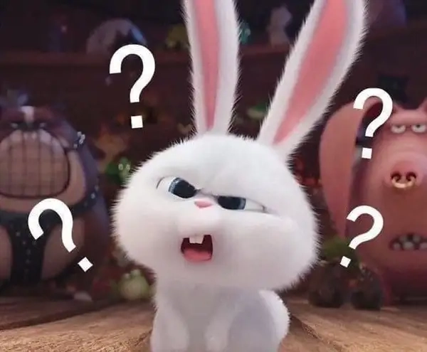 ảnh meme hỏi chấm 7