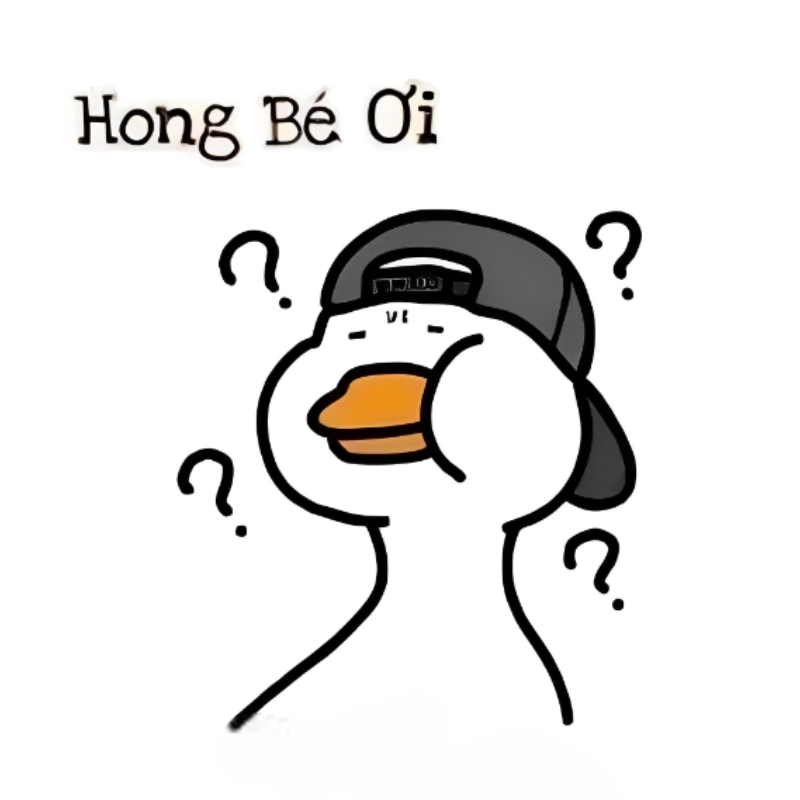 ảnh meme Không 11