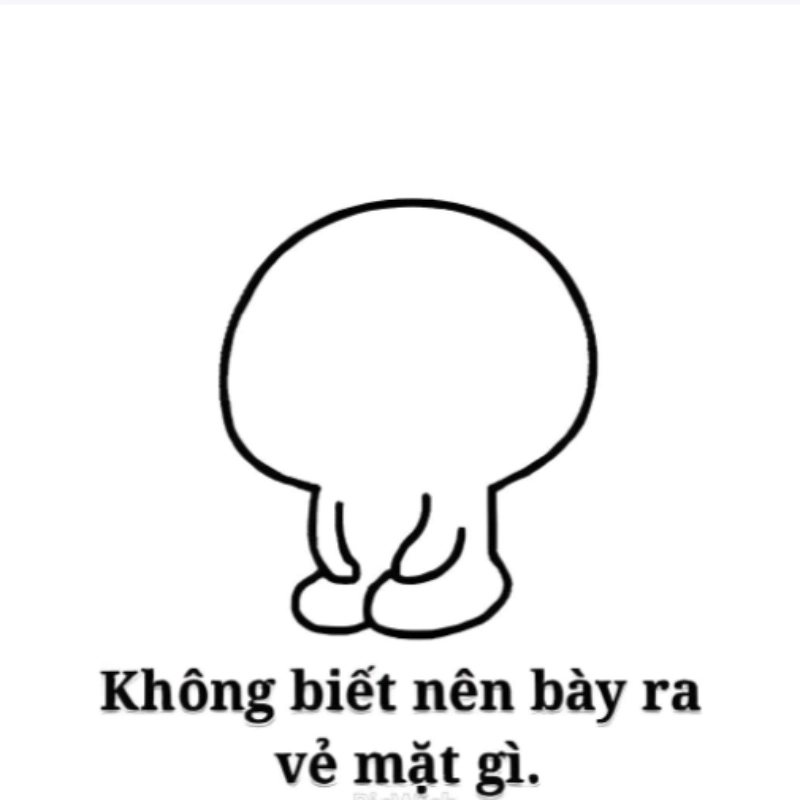 ảnh meme Không 23