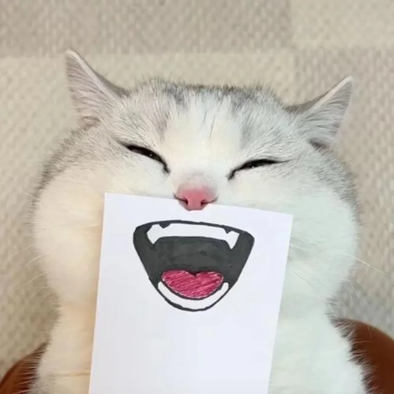 ảnh chế meme mèo bựa 7