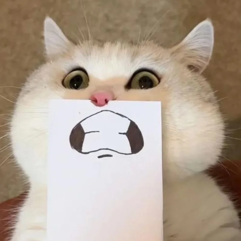 ảnh chế meme mèo bựa 9