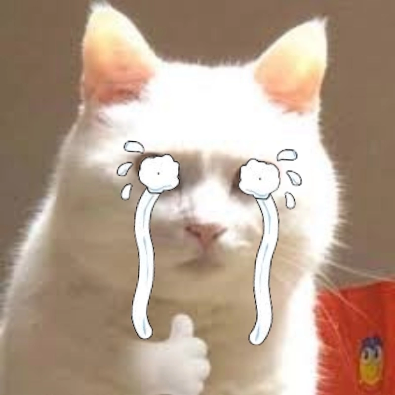 ảnh meme mèo khóc 32