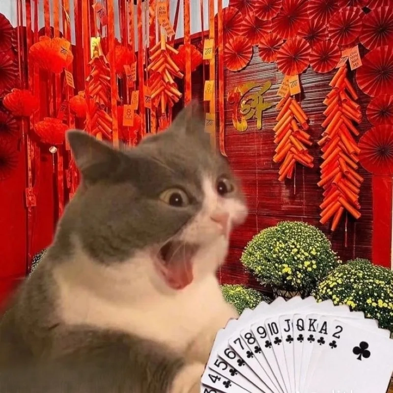 meme mèo Tết 44
