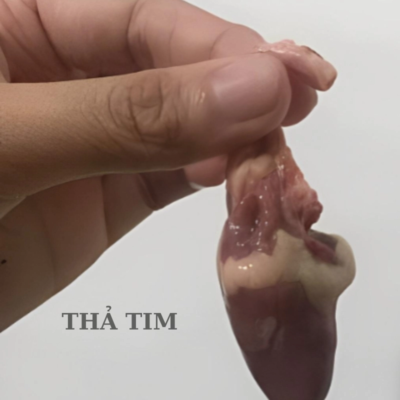 meme thả tim 4