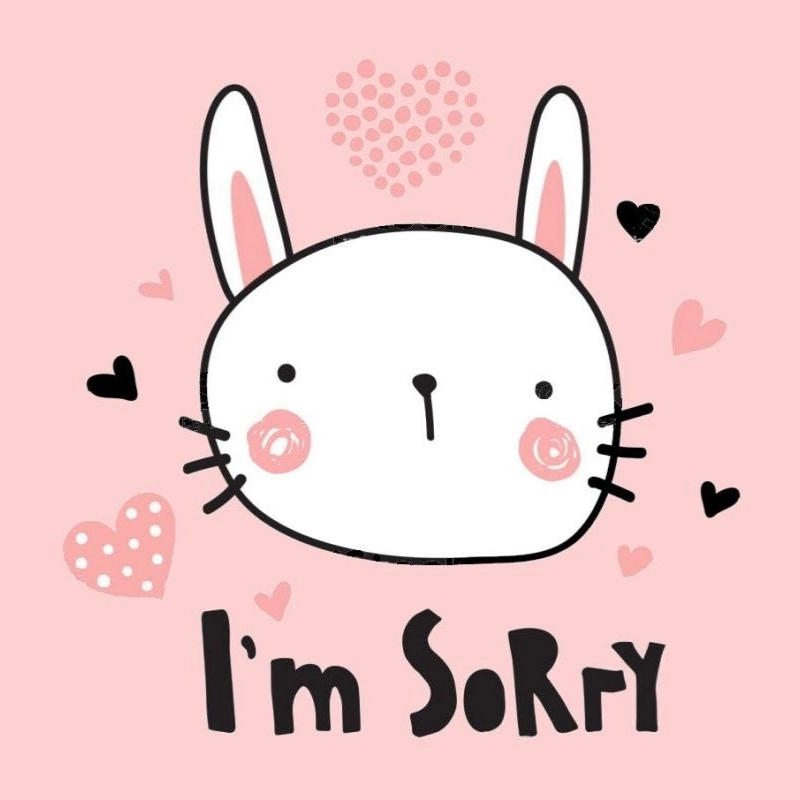 meme xin lỗi 5