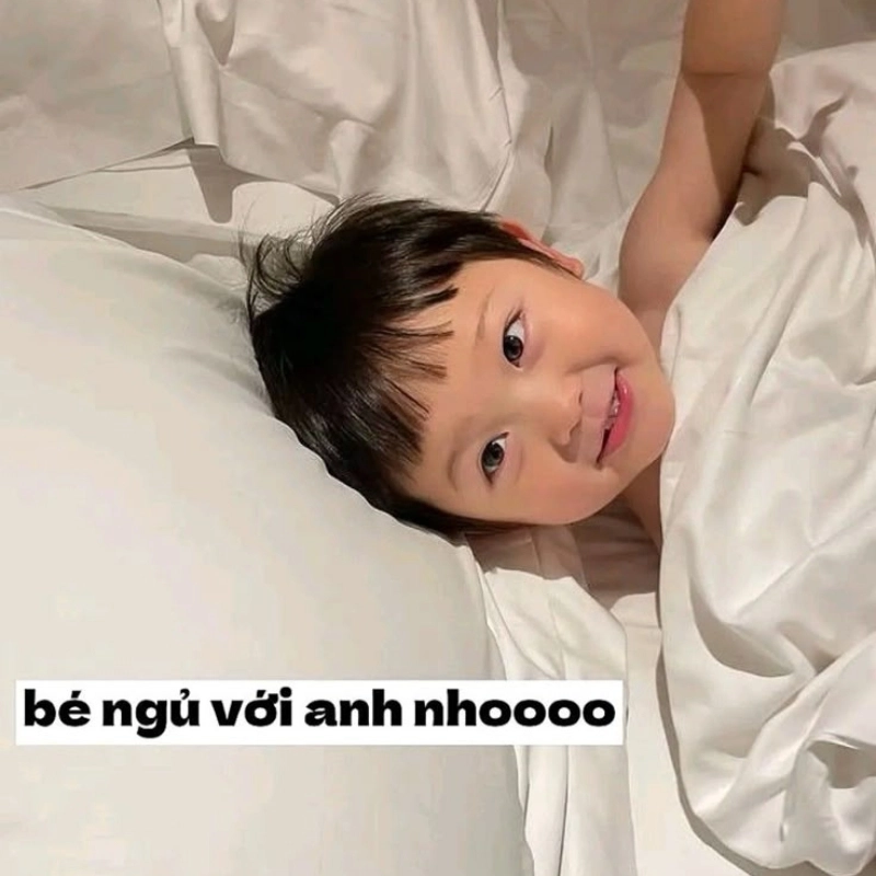 meme ngủ 8
