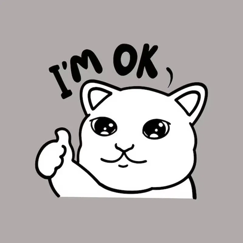 Ảnh meme ok 3