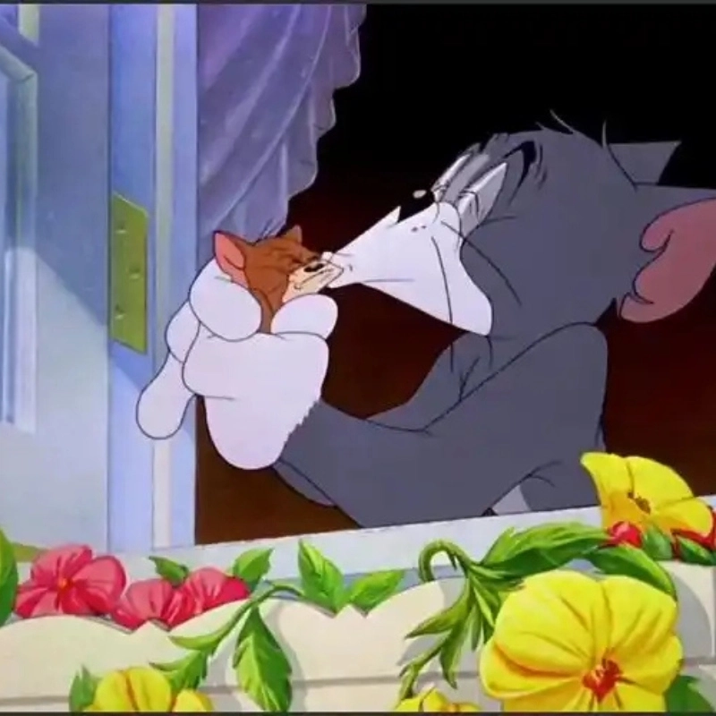 ảnh Meme Jerry 7