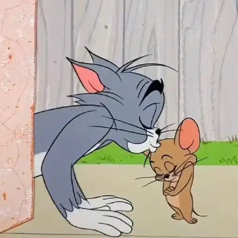 ảnh Meme Jerry 9