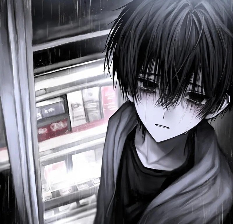 anime tv 24